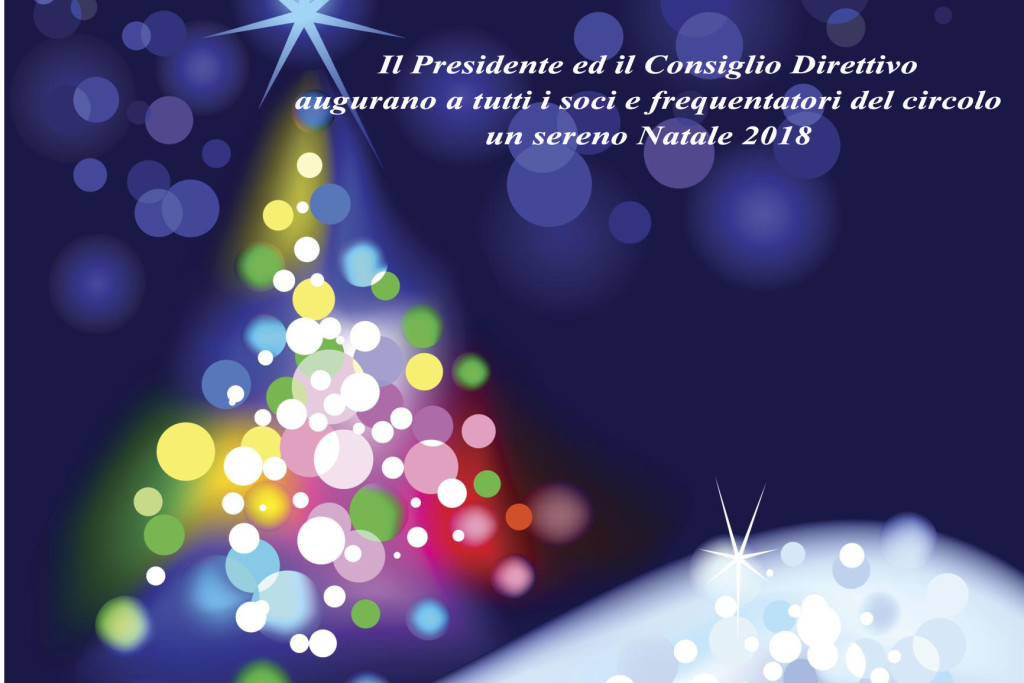 come-illuminare-lalbero-di-natale_1345b66113f816493cc34df1de1b9caa copy
